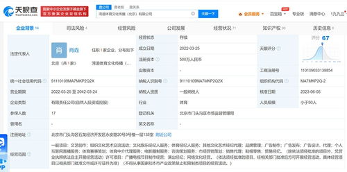 王濛445万元股权冻结风波 流言纷飞中的真相探寻